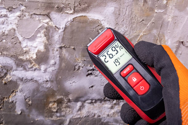 Best Water Damage Restoration  in Williams, CA