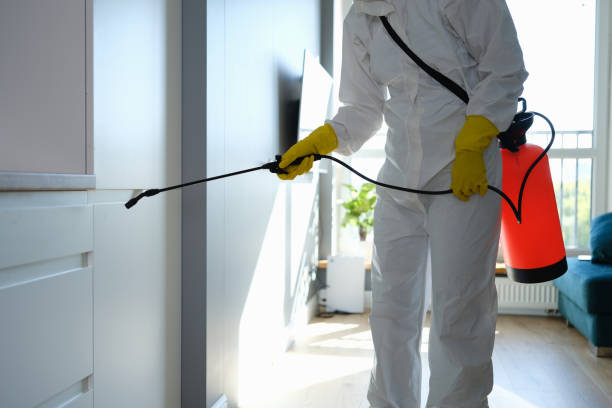 Best Emergency Mold Removal  in Williams, CA